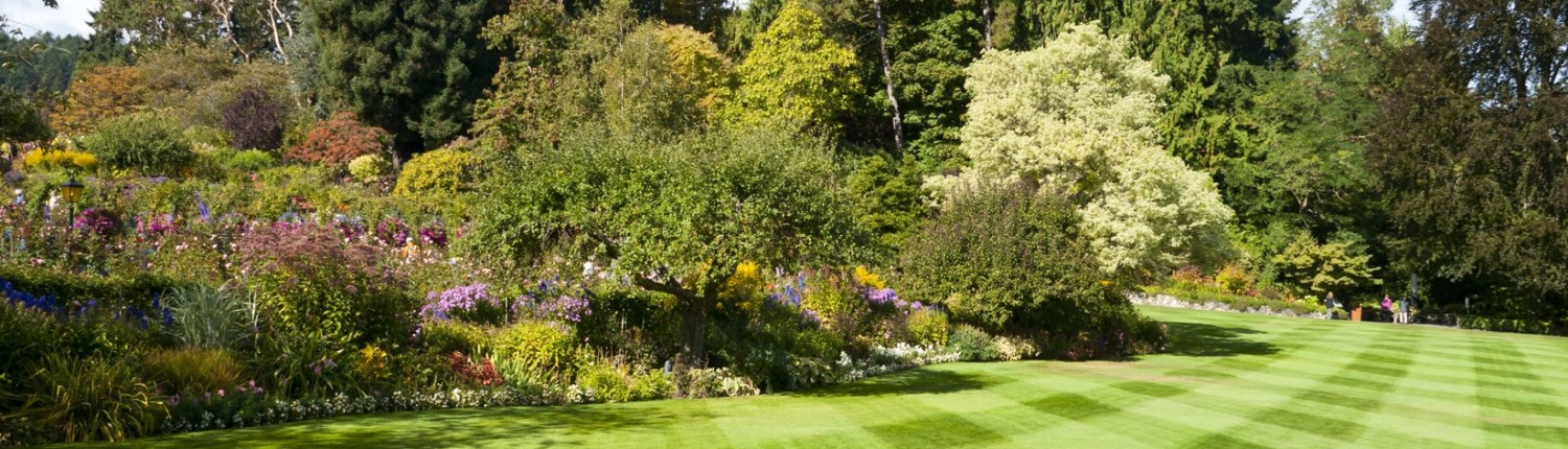 El amor por la jardinería es una semilla que una vez sembrada nunca muere