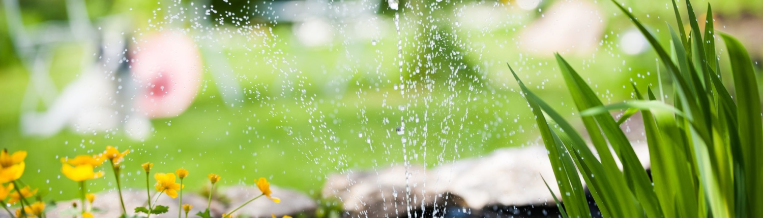 El amor por la jardinería es una semilla que una vez sembrada nunca muere