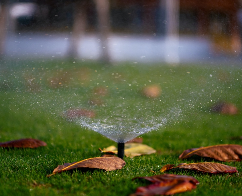 Césped y sistemas de riego en Valencia