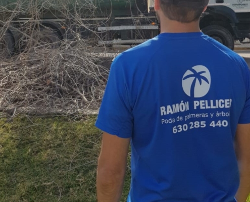 Empresa de jardinería en Valencia